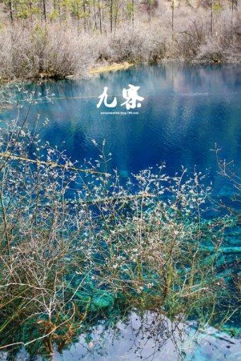 恒大物业再告中国恒大,追偿114亿元
